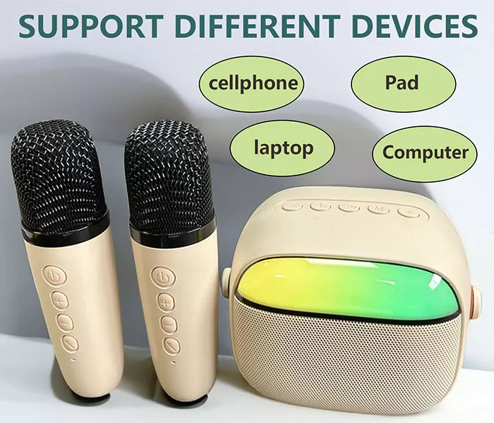 Portable Mini Karaoke Machine