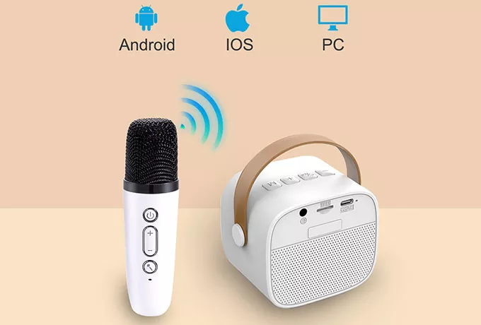 Wireless Karaoke Speaker