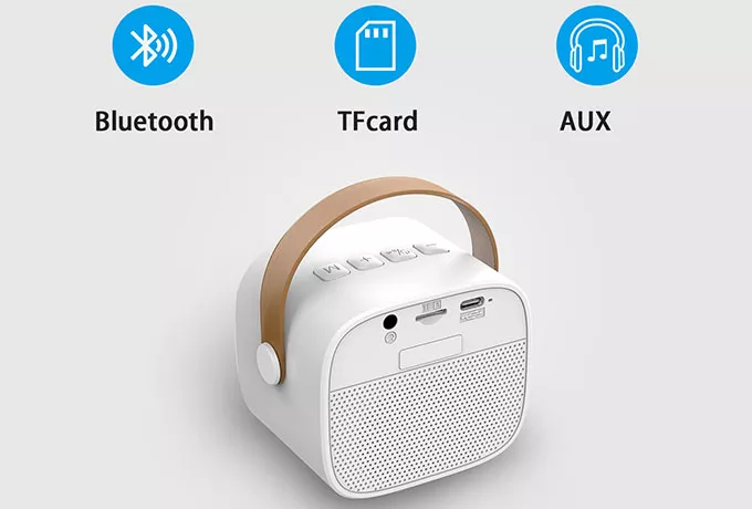 Wireless Karaoke Speaker