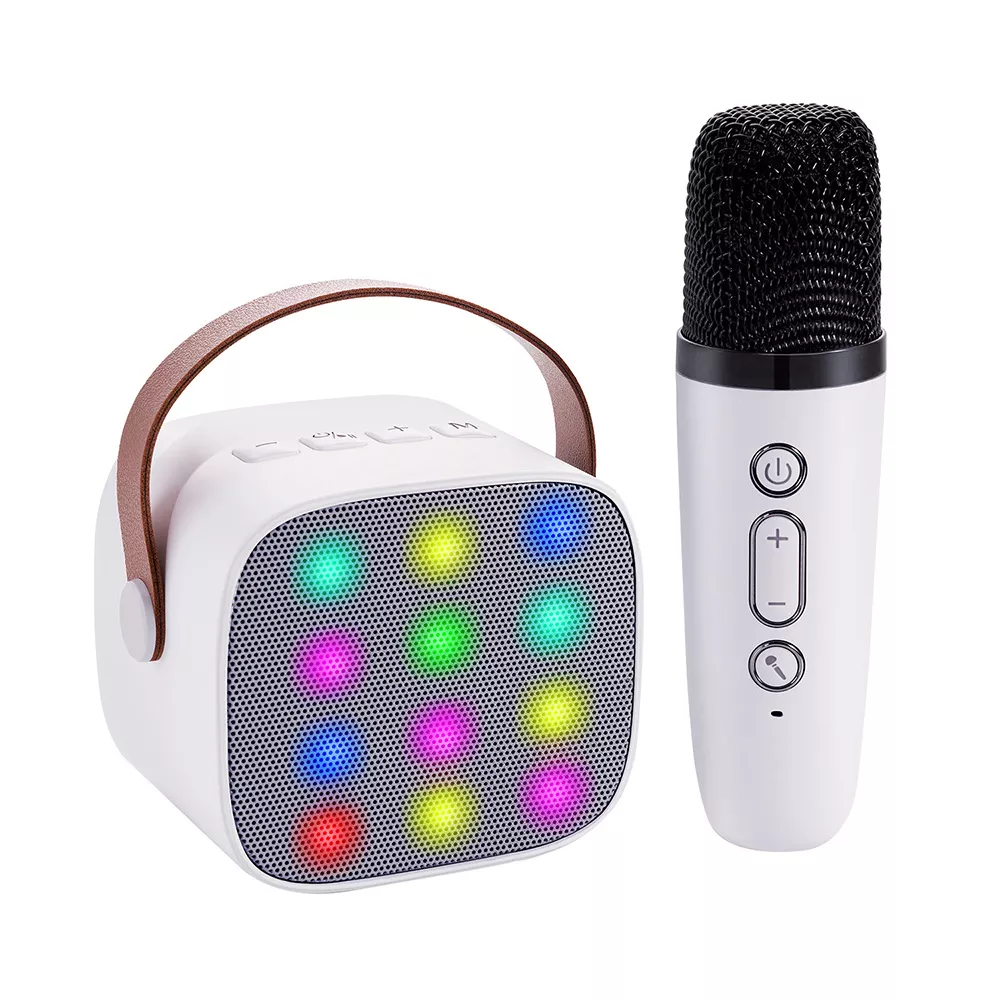 Gaodas RGB LED Screen Karaoke Machine for Kids Bluetooth Singing Speaker Music Player for Toddler