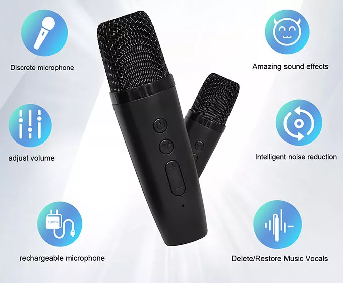 Portable Bluetooth Karaoke Speaker