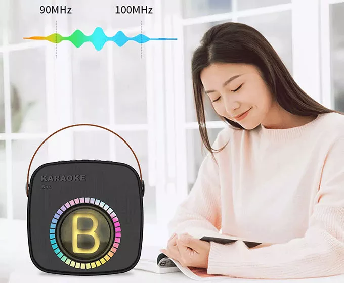 Portable Bluetooth Karaoke Speaker