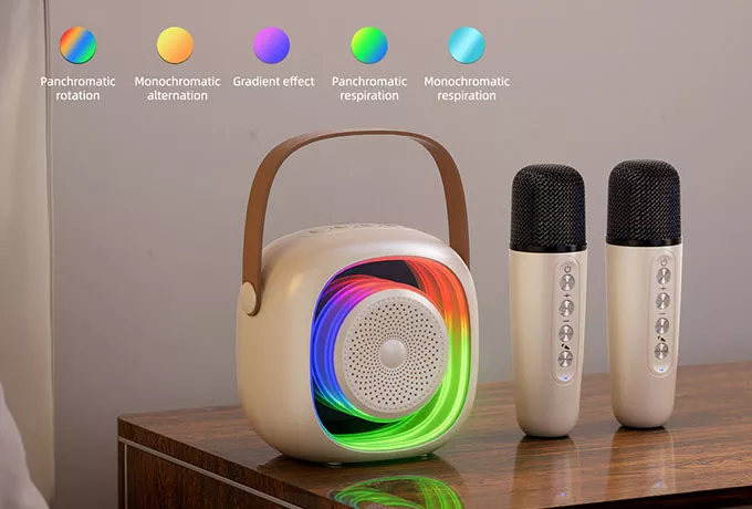 Portable Bluetooth Karaoke Speaker