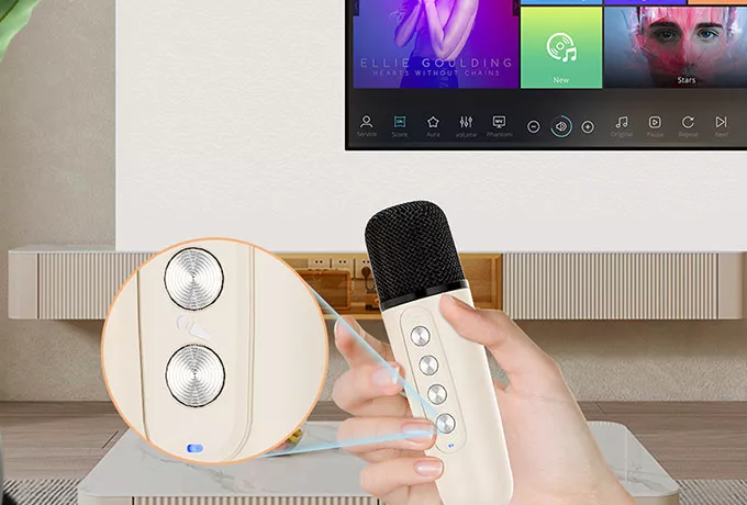 Bluetooth Karaoke Speaker