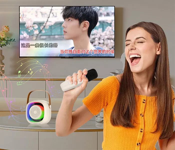 Bluetooth Karaoke Speaker