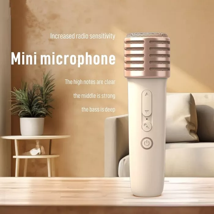 karaoke bluetooth speaker with microphone