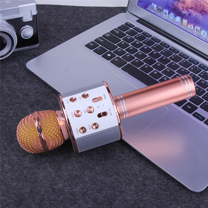 Portable Bluetooth Karaoke Speaker