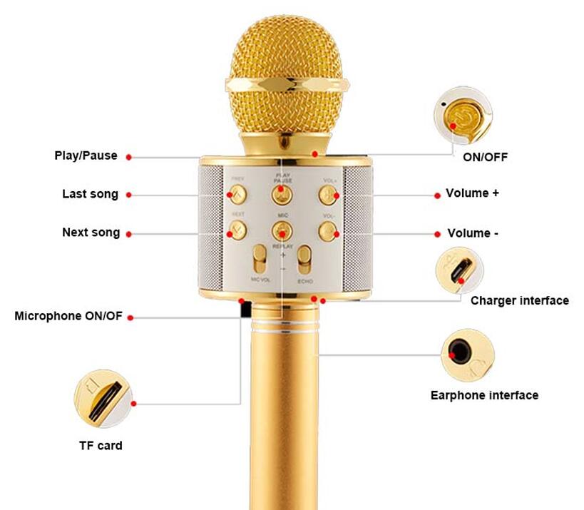 Bluetooth Karaoke Speaker