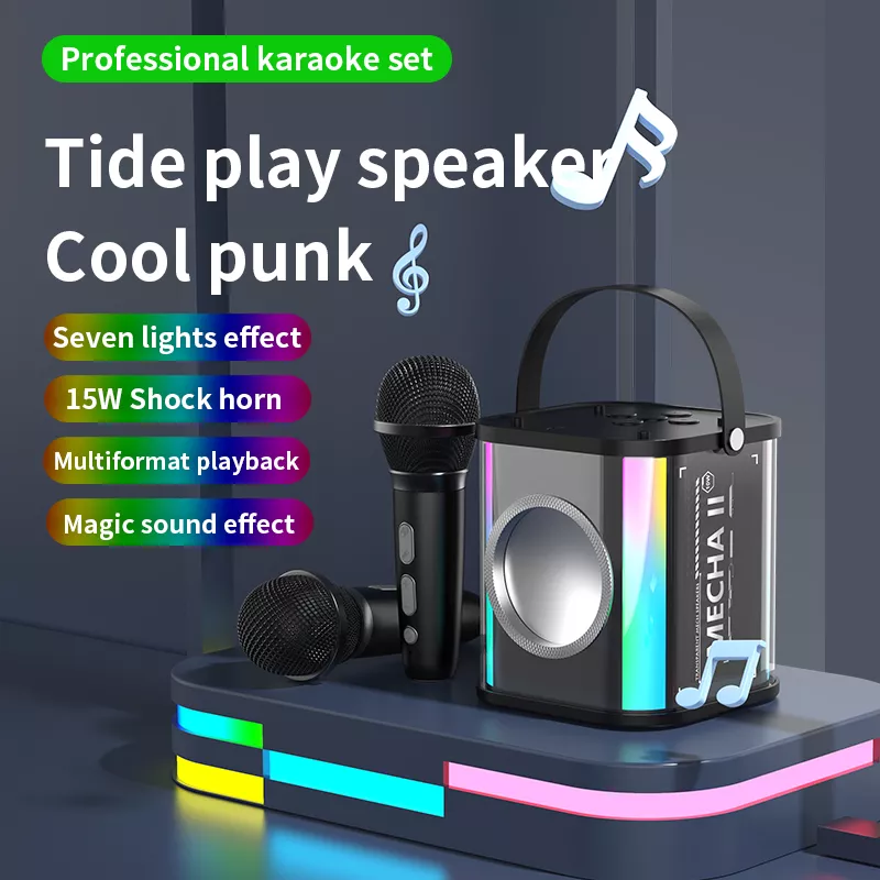 2 Mic Karaoke Machine