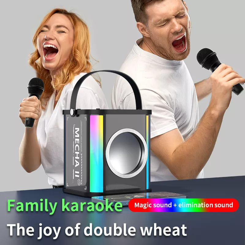 2 Mic Karaoke Machine